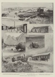 De Transvaal-crisis, scènes in Zuid-Afrika